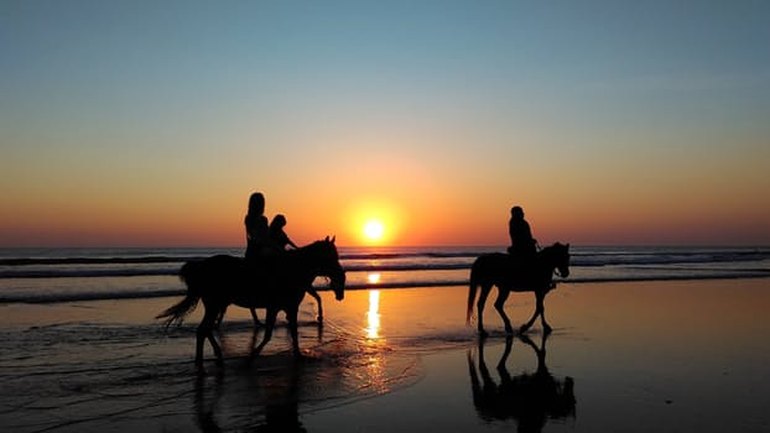People horseback riding at sunset
