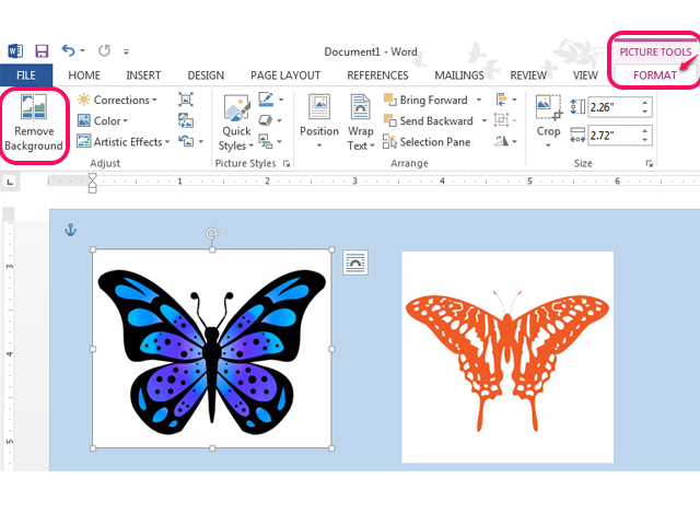 How to Remove a White Background on a Picture in Microsoft Word | Techwalla