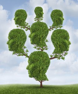 Family Tree