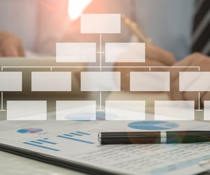 organization structure
