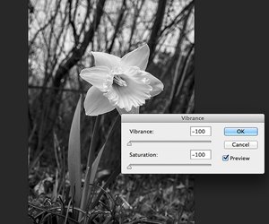 color overlay after effects color overlay after effects