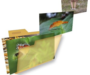 Image Folder