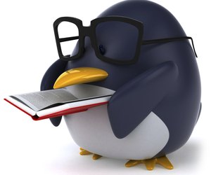 Penguin
