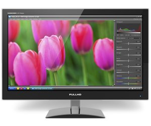TFT LCD monitor with photo editing software