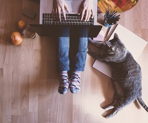 Creative workspace