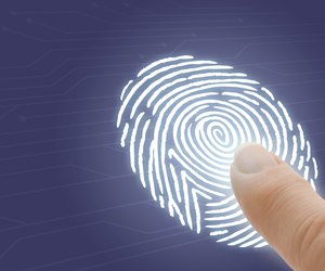 Online Identification and Security with Finger Pointing at Fingerprint