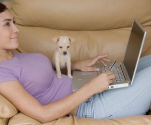 Side profile of a young woman lying on a couch and working on a laptop with a puppy sitting on her