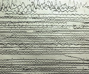 seismograph chart
