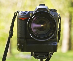 Camera in the forest