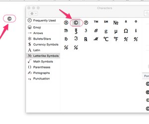 How to Make a Copyright Sign on a Mac | Techwalla.com