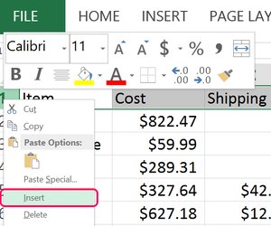 cannot insert rows in excel sheet