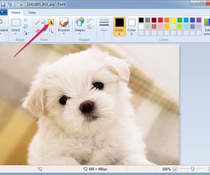 How to Insert Text in Paint | Techwalla.com
