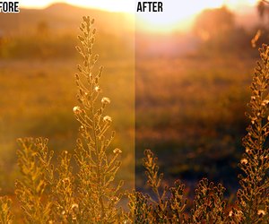 How to Remove a Yellow Tint From a Picture in Adobe Photoshop ...