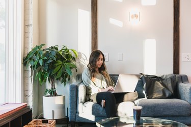 Young adult woman sits on sofa to relax with laptop