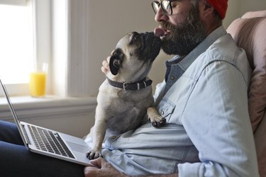 Man sitting with laptop together with Puck dog