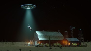 UFO abducting a cow