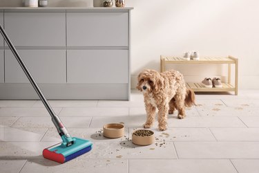 dog with messy dog bowls and vaccum