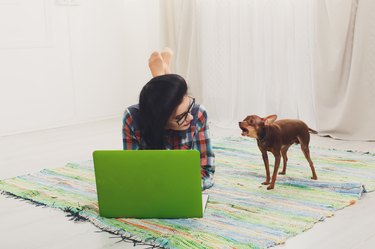 Young girl on white sofa with a laptop