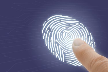 Online Identification and Security with Finger Pointing at Fingerprint