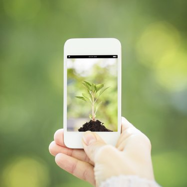 Woman hand holding smart phone