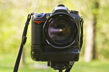 Camera in the forest