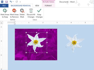 How to Remove a White Background on a Picture in Microsoft Word | Techwalla