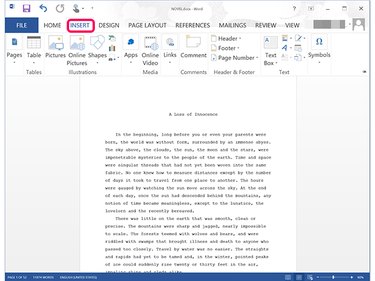 Word's Insert options.