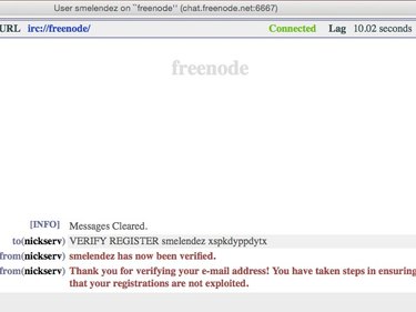 Send a "Verify Register" command to Nickserv to complete registration