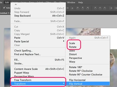 Photoshop's Transform options.