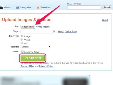 TinyPic home page, with Choose File and Upload Now buttons highlighted.
