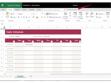 Fill in the schedule or click Open in Excel.