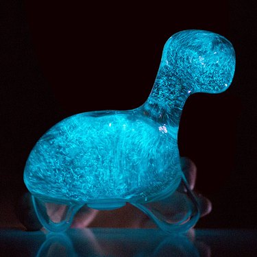 Photo of bio-luminescent dinoflagellates in dinosaur-shaped fish tank.