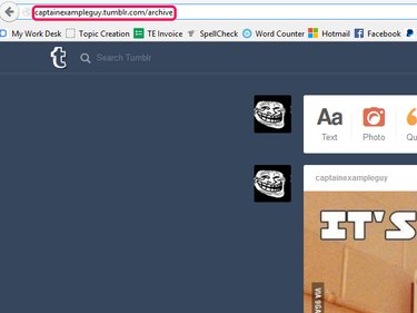 The browser address bar, with the Tumblr blog's address set to archive view.
