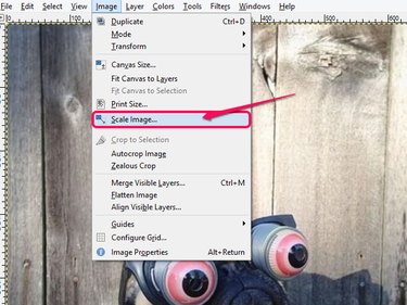 The Image menu, with Scale Image highlighted.