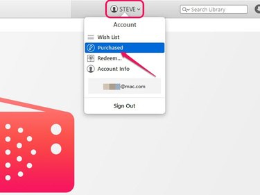 Click Account Info from the drop-down menu to view your Apple ID account details.