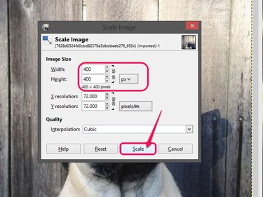The Scale Image tool.