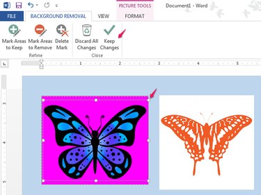 How to Remove a White Background on a Picture in Microsoft Word | Techwalla