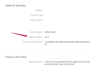 Balance in Account Information