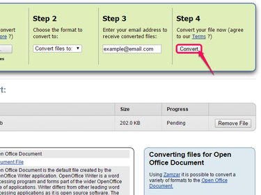Click the Convert button listed under Step 4.