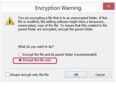Select Encrypt the File and Its Parent Folder.