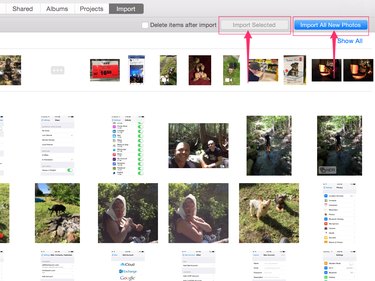 Select and transfer your photos