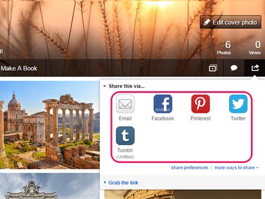 Social network and email icons in the Share This Via pop-up menu.