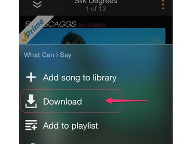 Tap Download to download the selected song.