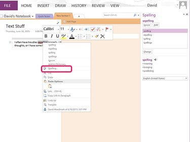 OneNote's spelling options.