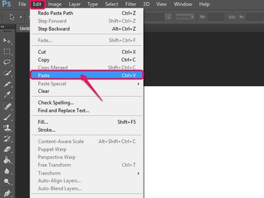 Click Paste from the Edit menu.