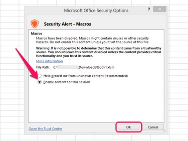 Microsoft Office Security Options screen.