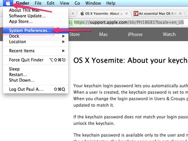 access apple passwords from pc