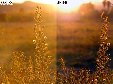 A comparison of a photo before and after automatic color adjustment in Photoshop.