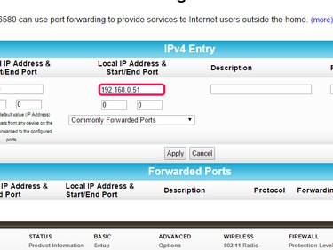 Enter the static IP in the Local IP Address field.