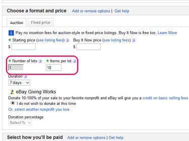 The eBay sale listing form, with the lot items format added.